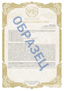 Образец Приложение к СТО 01.064.00220722.2-2020 Чусовой Сертификат СТО 01.064.00220722.2-2020 